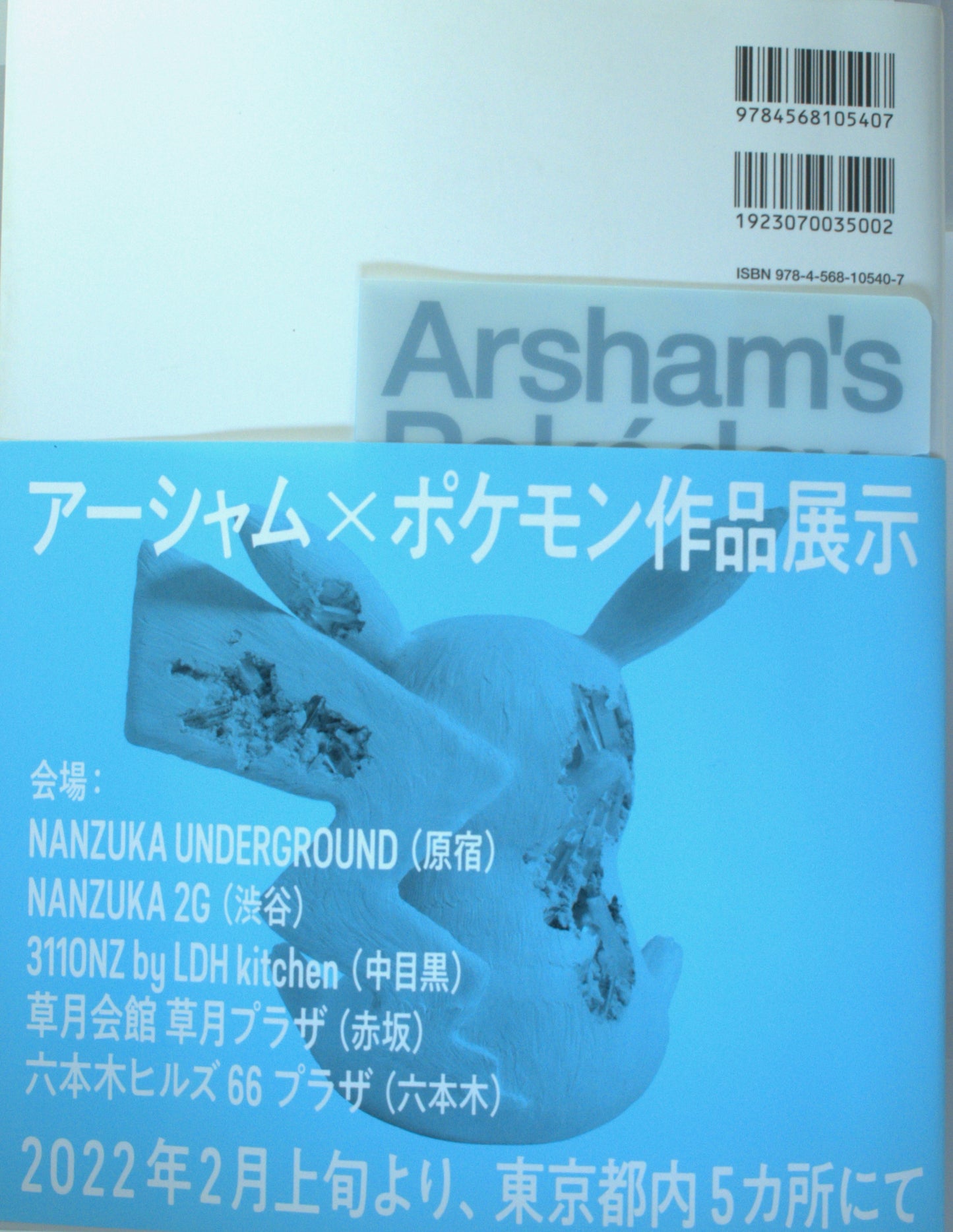 Arsham's Pokédex - Daniel Arsham x Pokémon