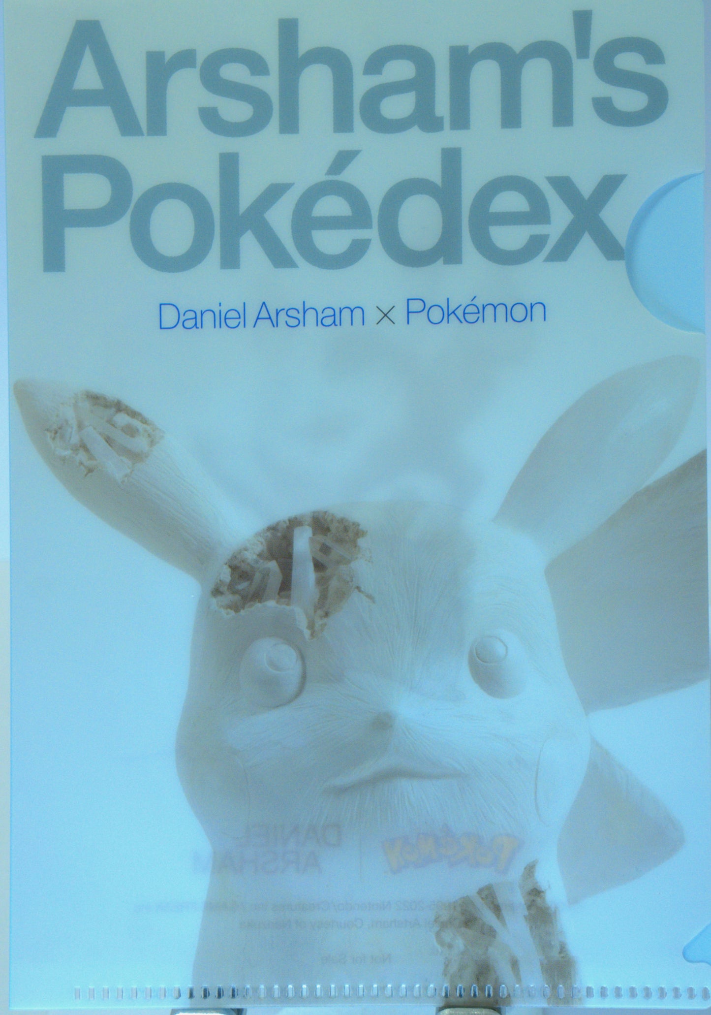Arsham's Pokédex - Daniel Arsham x Pokémon
