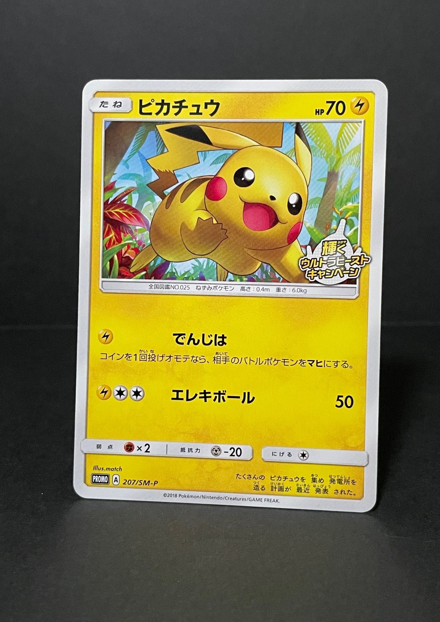 Pokemon Promo Card – NIHONTEKI