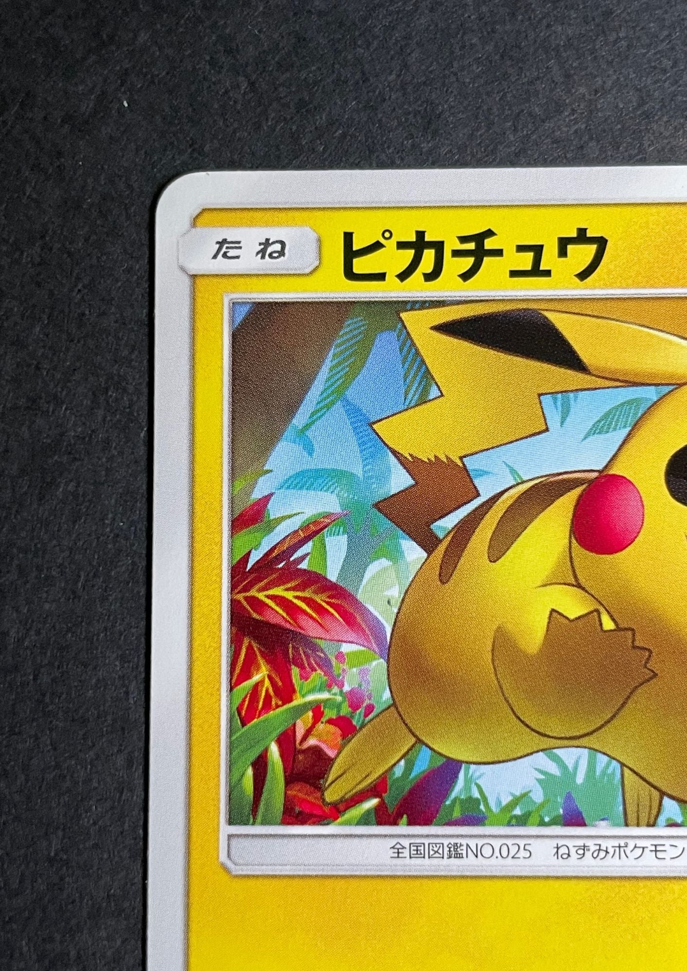 Pokemon card game [Promotional] [Sun & Moon] Pikachu [207/SM-P] {B}