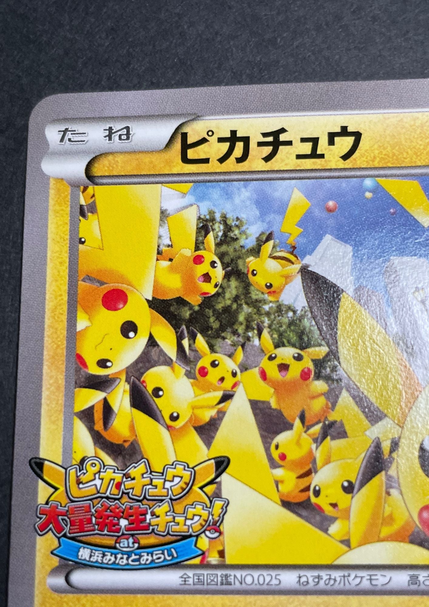 Pokémon cards game – NIHONTEKI