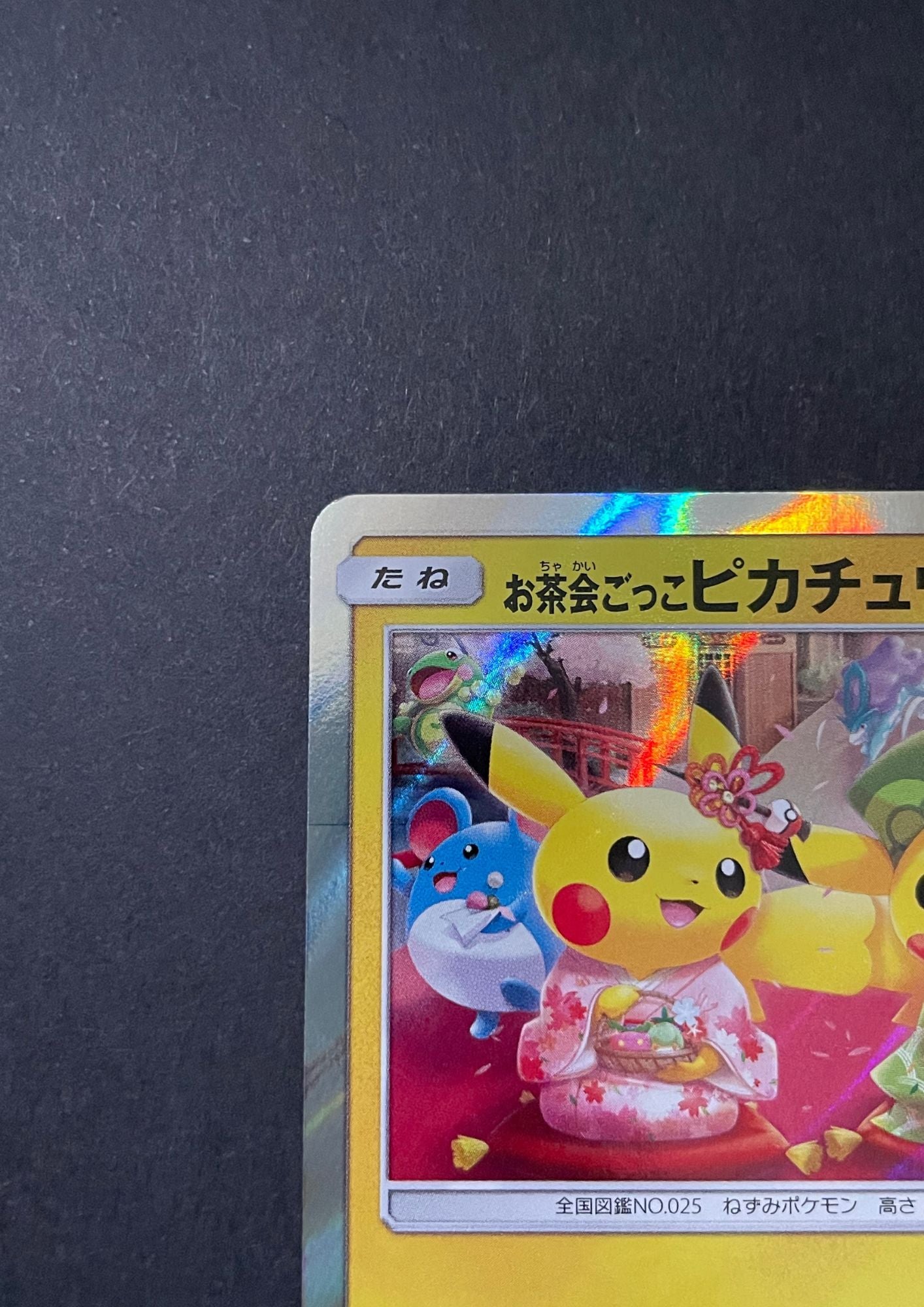 Pokemon Single card – NIHONTEKI