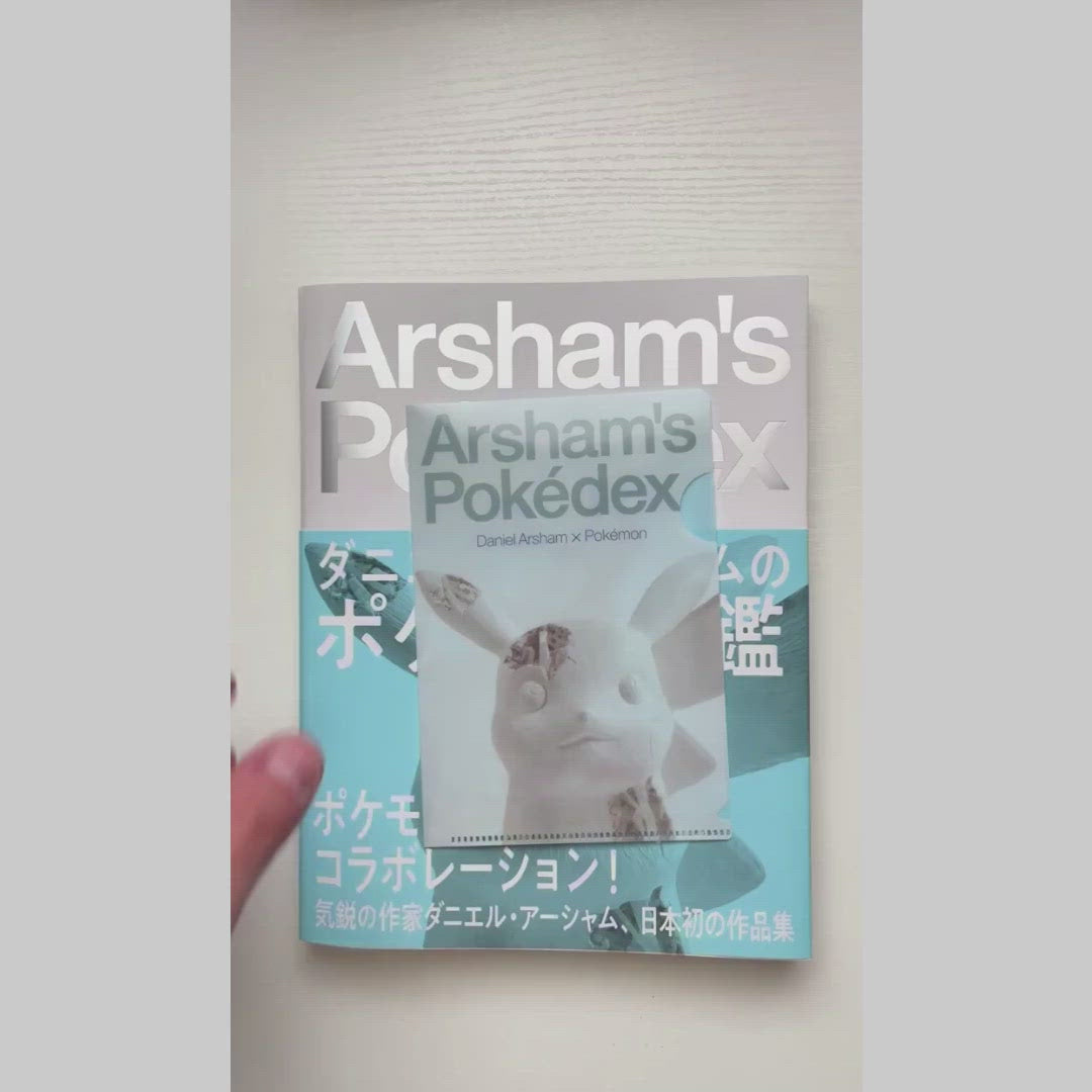 Arsham's Pokédex - Daniel Arsham x Pokémon – NIHONTEKI