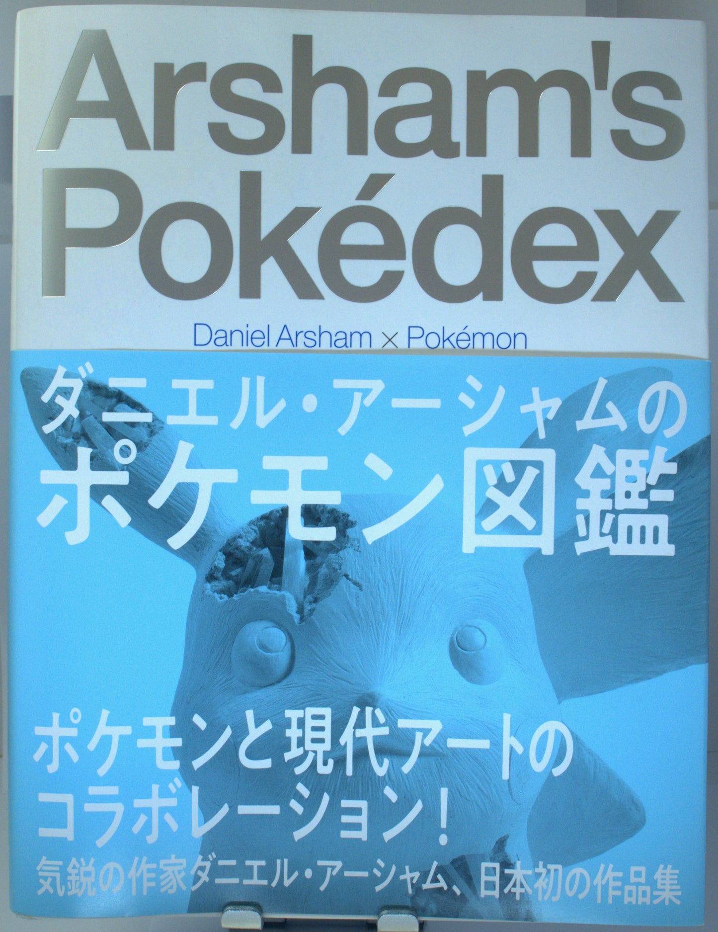 Arsham's Pokédex - Daniel Arsham x Pokémon